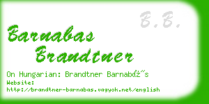 barnabas brandtner business card